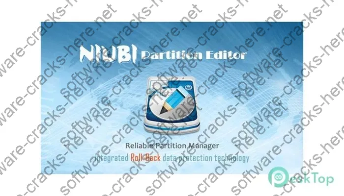 Niubi Partition Editor Serial key